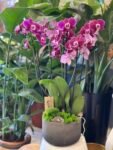 Photoroom_20250716_130202