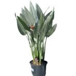 Photoroom_20250813_132435