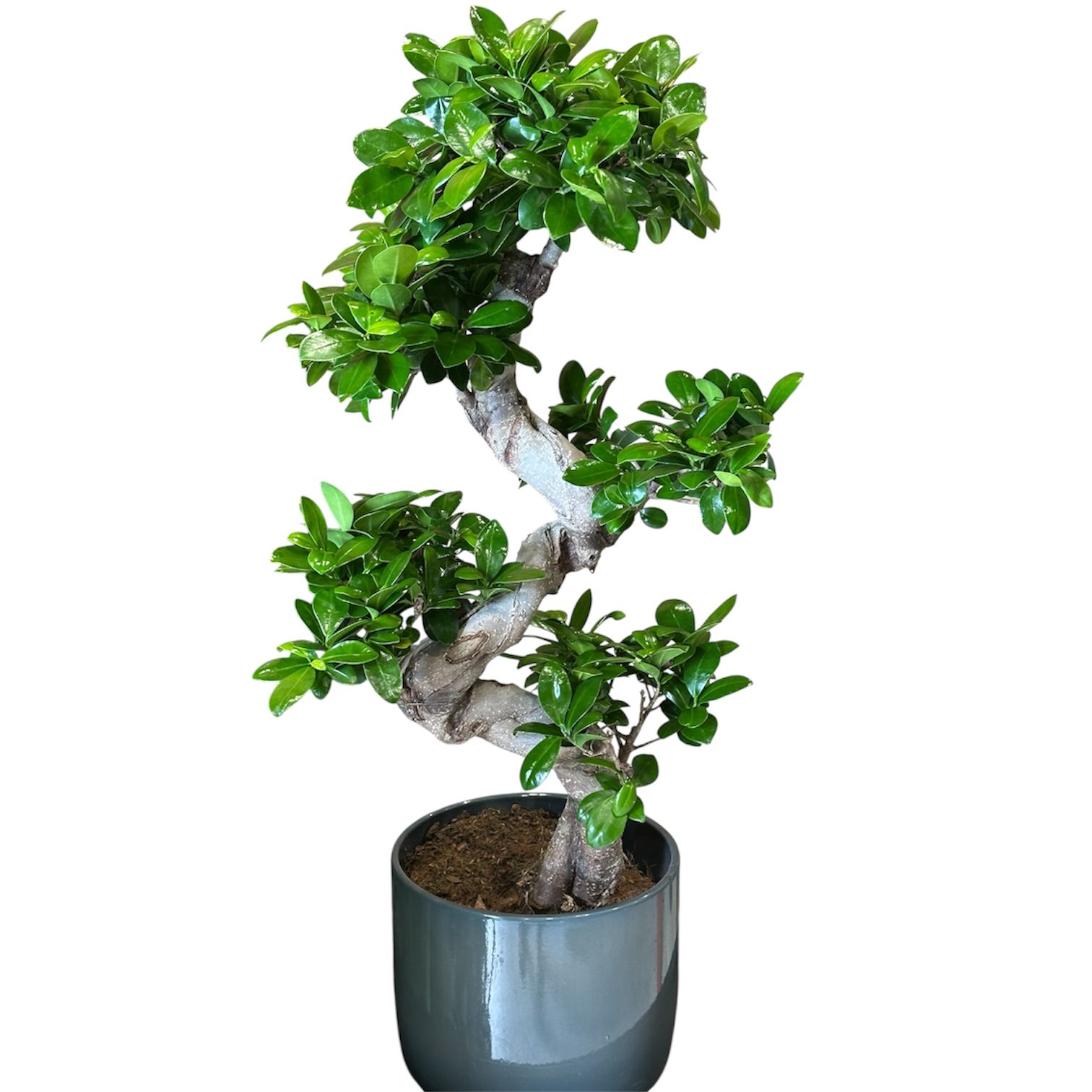 Photoroom_20250813_132516