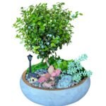 Photoroom_20250815_125542