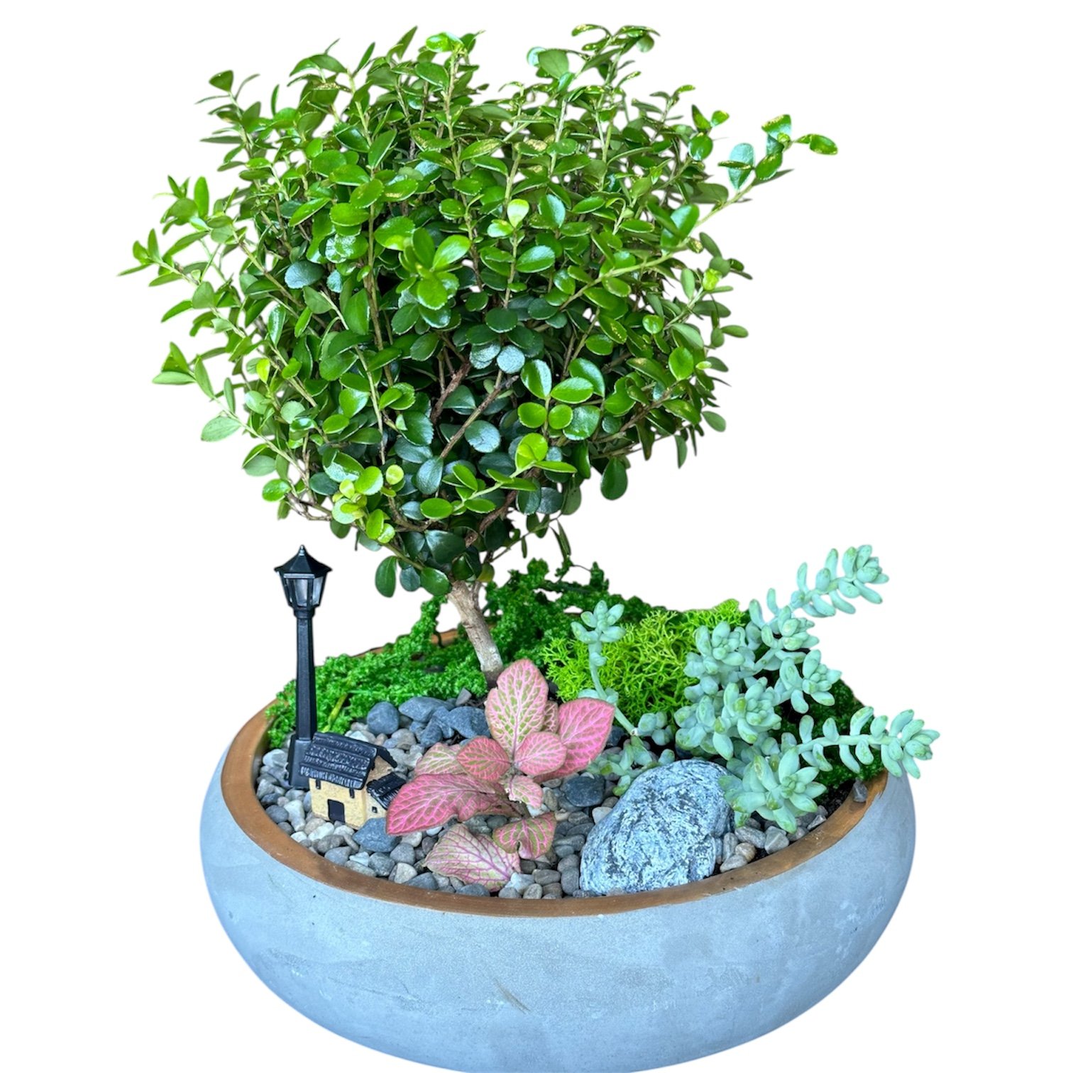 Photoroom_20250815_125542