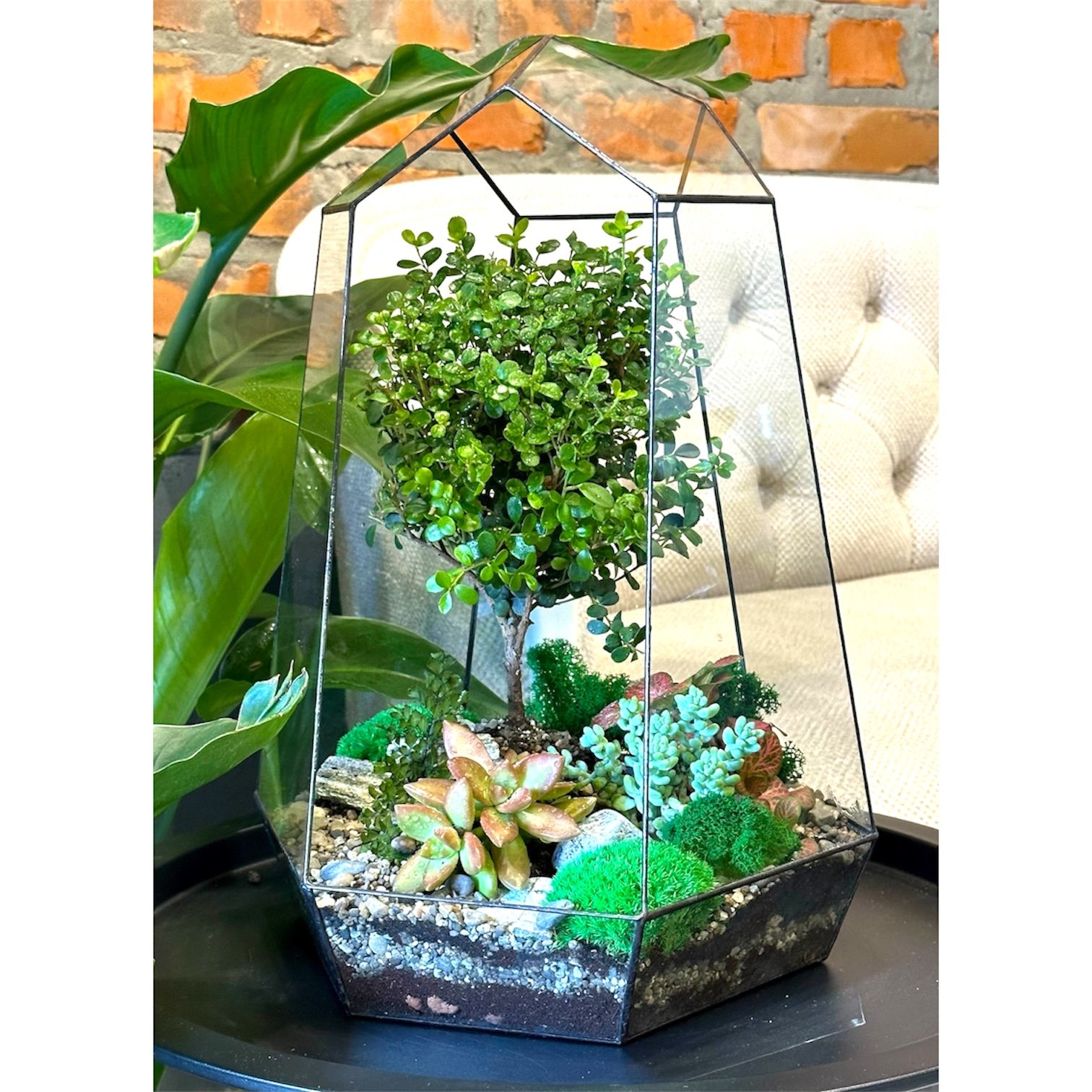 Photoroom_20250902_175904