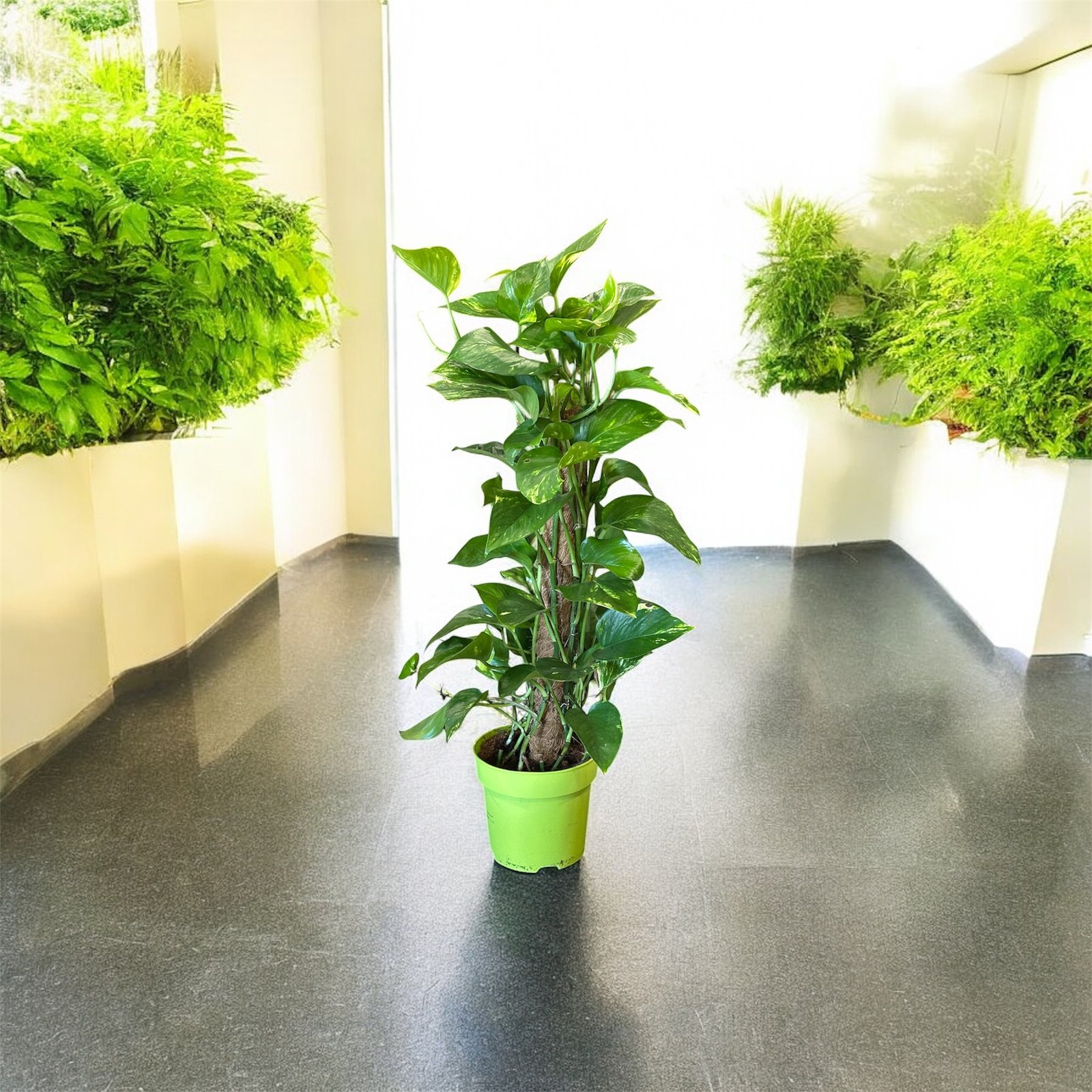 Photoroom_20250911_121211