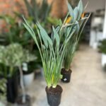 Photoroom_20251021_205945