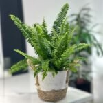 Photoroom_20251023_172149