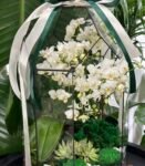 Photoroom_20251124_103134