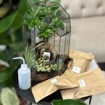 Photoroom_20251102_184100 2