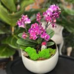 Photoroom_20251120_215541