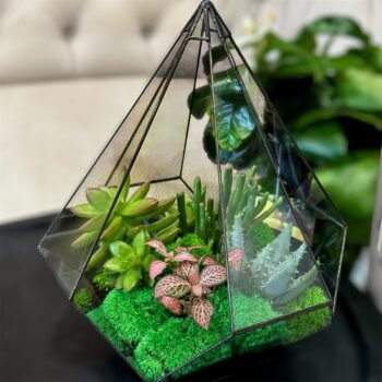 Флораріум з рослин мікс "Живий декор"