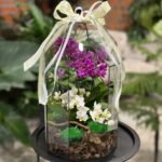 Photoroom_20251121_173640