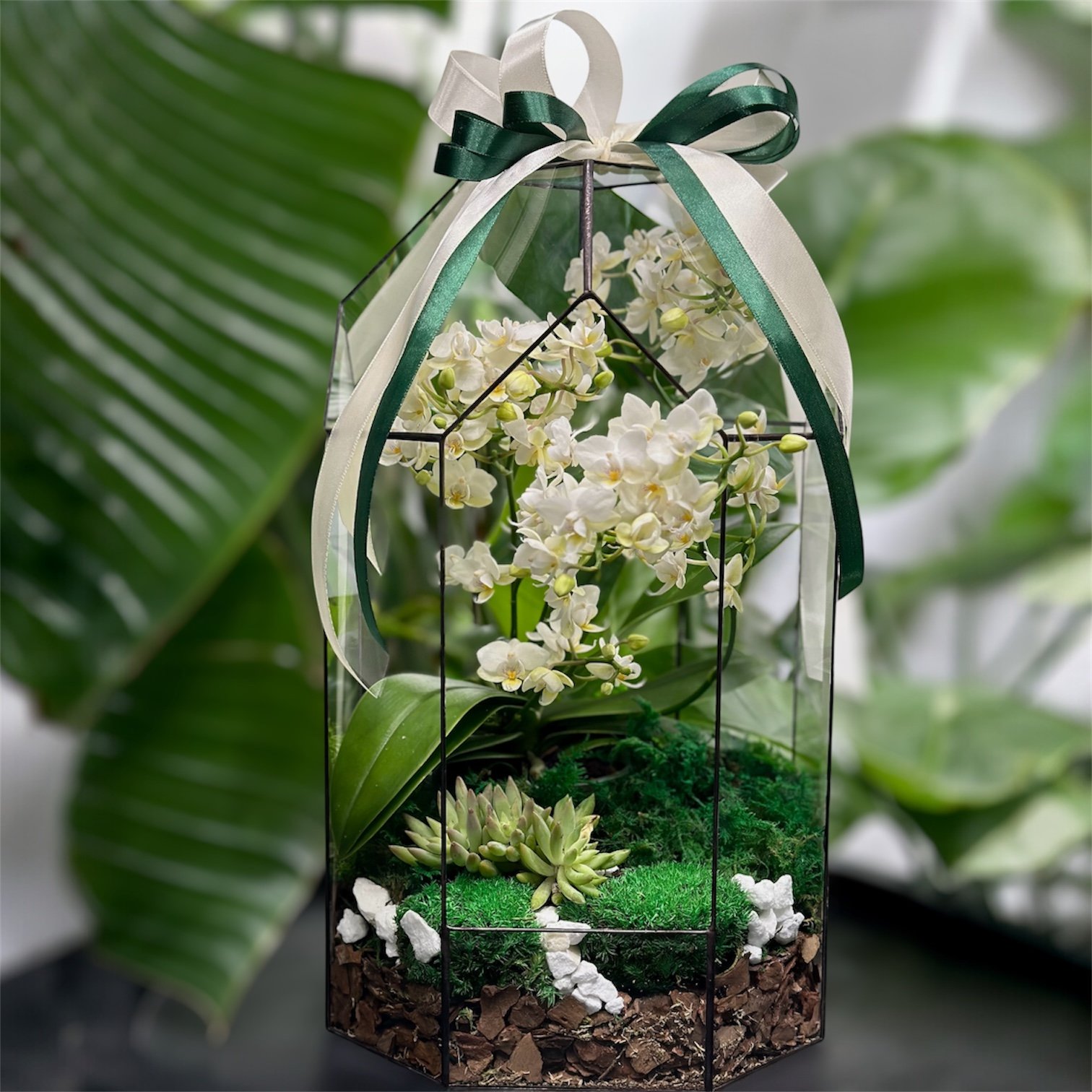 Photoroom_20251124_103134