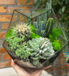 Photoroom_20251121_183348