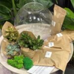 Photoroom_20251215_221522