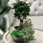 Photoroom_20260126_172322