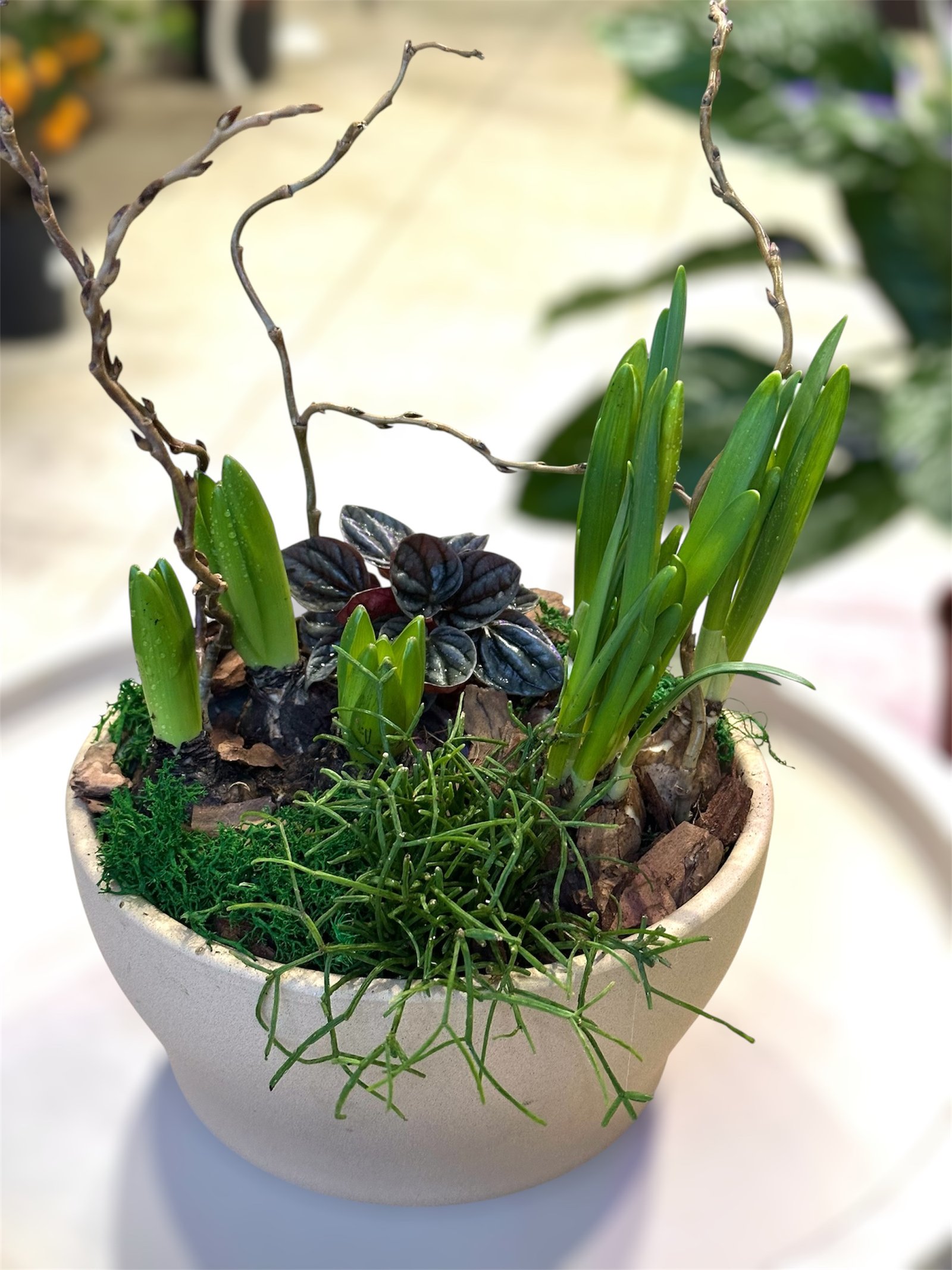 Photoroom_20260216_171128