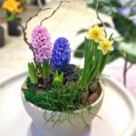 Photoroom_20260217_175901