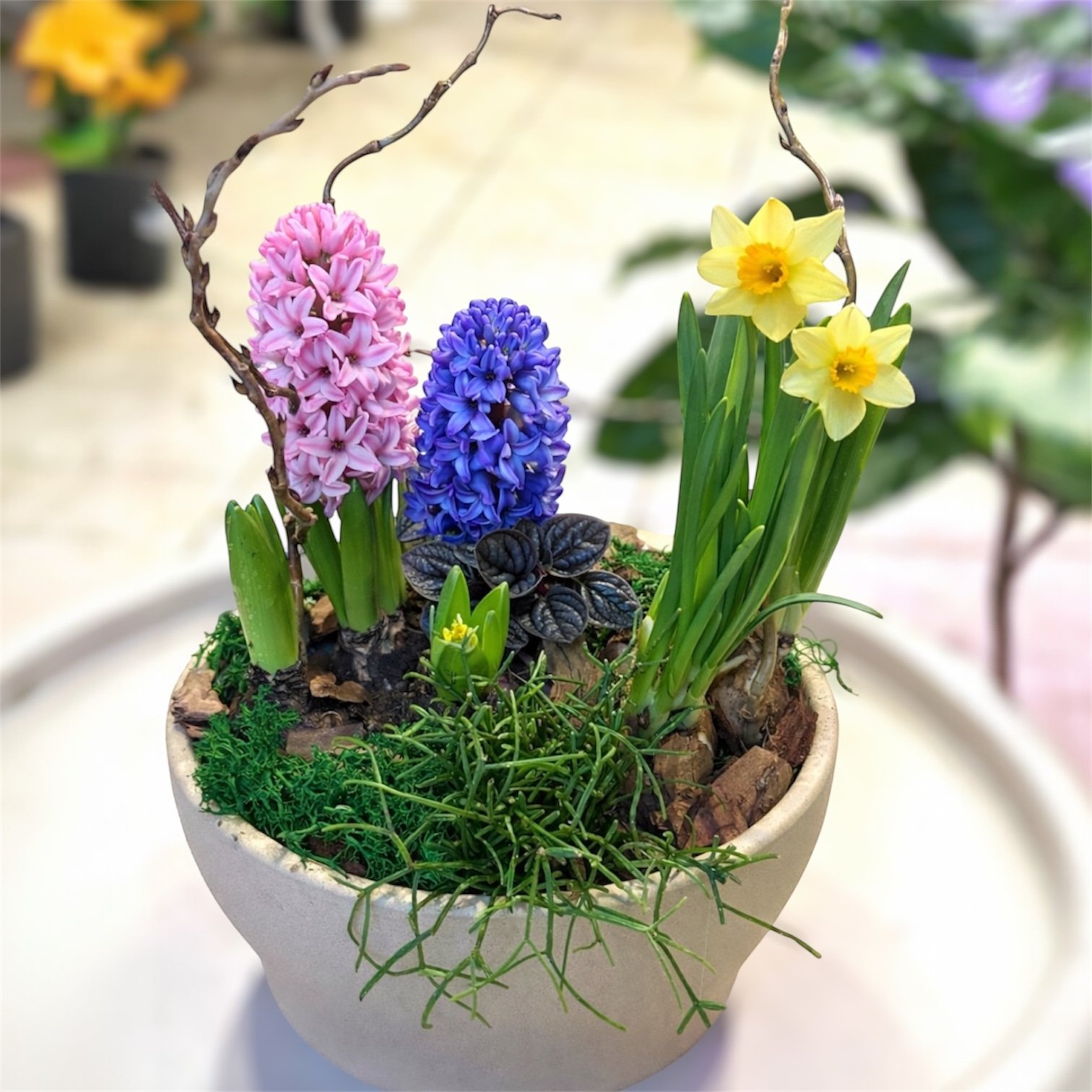 Photoroom_20260217_175901