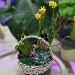 Photoroom_20260224_194917