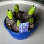 Photoroom_20260227_193702