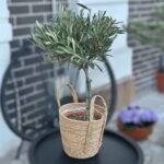 Photoroom_20260329_210218