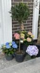 Photoroom_20260507_162913