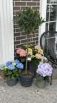 Photoroom_20260507_162913