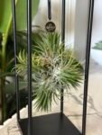 Photoroom_20260728_153838